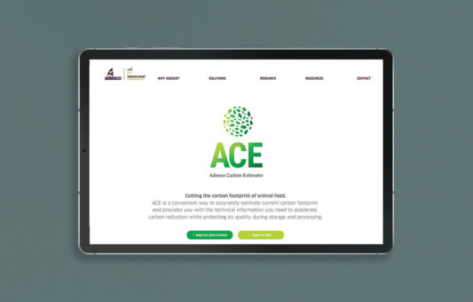 ACE Calculator