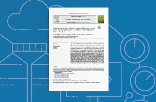 Maternal and/or Direct Feeding of Organic Acid-Preserved Cereal Grains Improves Performance and Digestive Health of Pigs From Birth to Slaughter