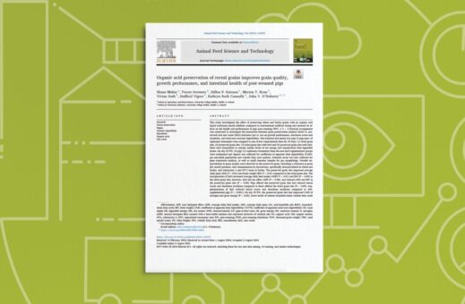 Organic Acid Preservation of Cereal Grains Improves Grain Quality, Growth Performance, and Intestinal Health of Post- Weaned Pigs