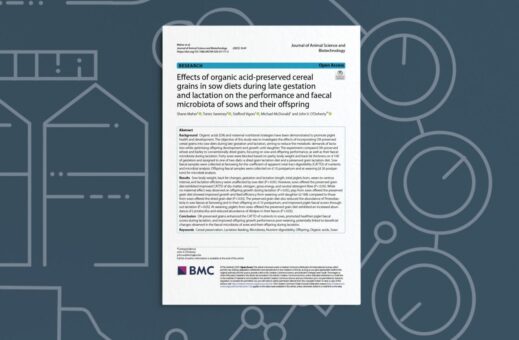 Effects of Organic Acid-Preserved Cereal Grains in Sow Diets During Late Gestation and Lactation on The Performance and Faecal Microbiota of Sows and Their Offspring