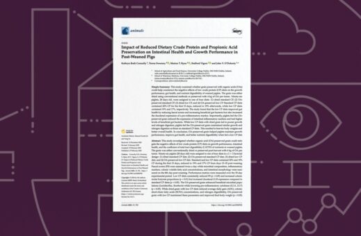 Impact of Reduced Dietary Crude Protein and Propionic Acid Preservation on Intestinal Health and Growth Performance in Post-Weaned Pigs