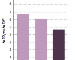 Treated Beans can reduce the carbon footprint of pig production by 20 – 30%