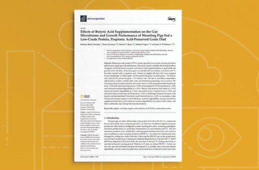 Effects of Butyric Acid Supplementation on the Gut Microbiome and Growth Performance of Weanling Pigs Fed a Low-Crude Protein, Propionic Acid-Preserved Grain Diet