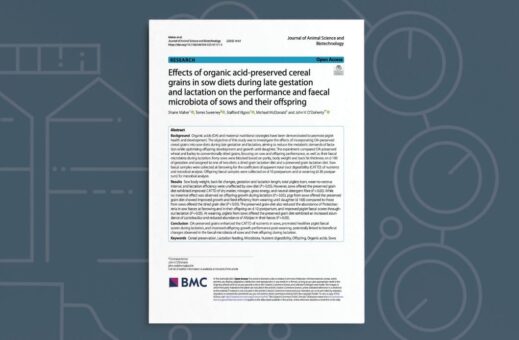 Effects of Organic Acid-Preserved Cereal Grains in Sow Diets During Late Gestationand Lactation on The Performance and Faecal Microbiota of Sows and Their Offspring