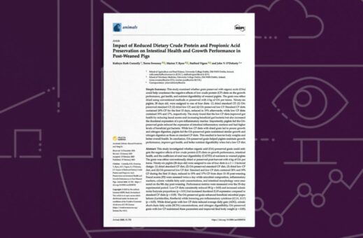 Impact of Reduced Dietary Crude Protein and Propionic Acid Preservation on Intestinal Health and Growth Performance in Post-Weaned Pigs