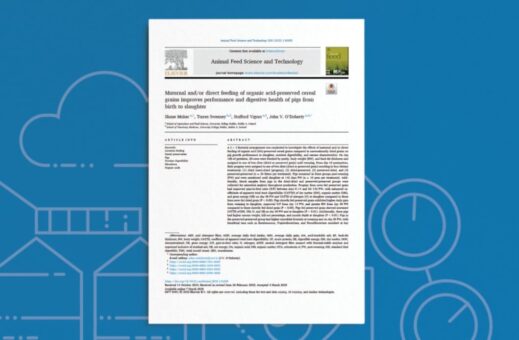 Maternal and/or Direct Feeding of Organic Acid-Preserved Cereal Grains Improves Performance and Digestive Health of Pigs From Birth to Slaughter