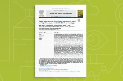 Organic Acid Preservation of Cereal Grains Improves Grain Quality, Growth Performance, and Intestinal Health of Post- Weaned Pigs